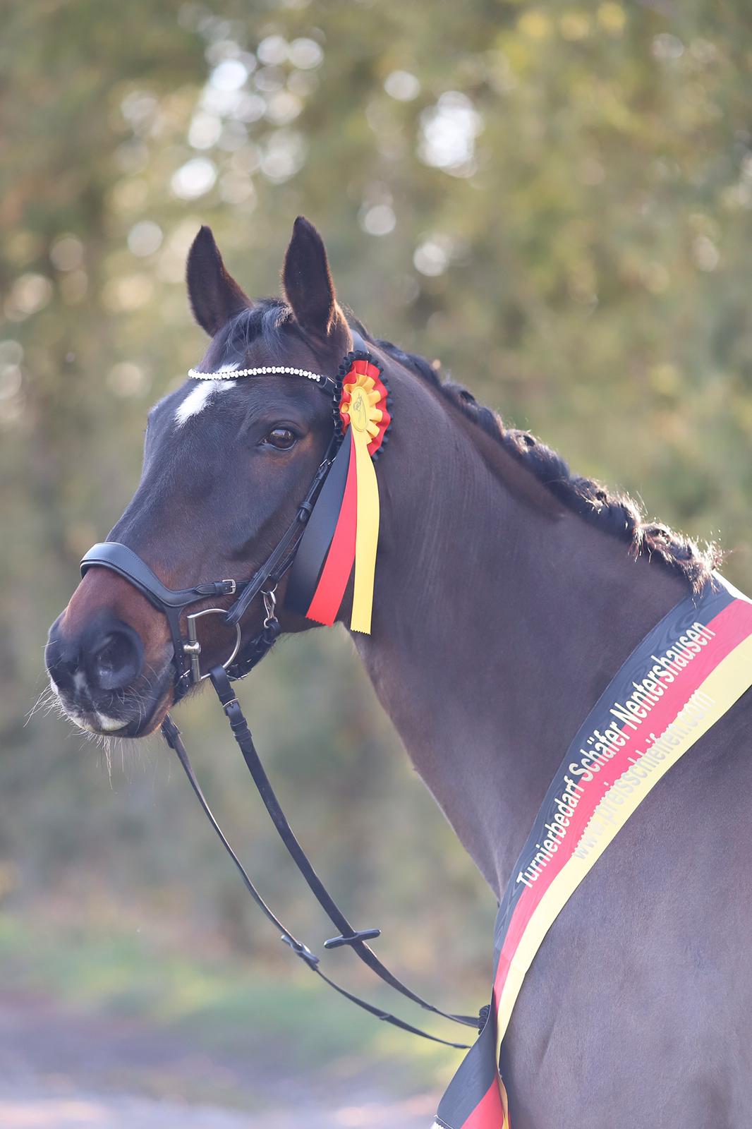 Preisschleifen Sch&auml;rpen