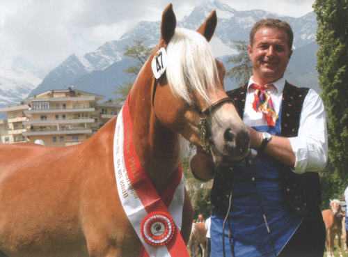 Preisschleifen Sch&auml;rpen